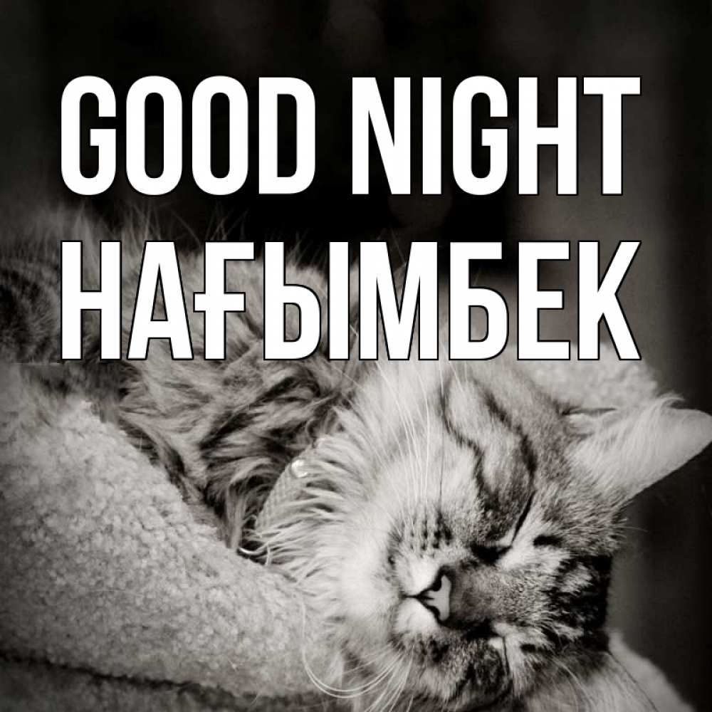 Greetings card с именем, НАҒЫМБЕК Good night котярик пушистый Greetings with text for free download 