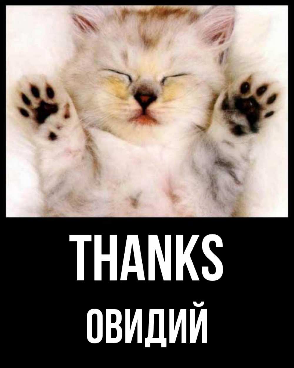 Greetings card с именем, Овидий Thanks маленький котенок Greetings with text for free download 