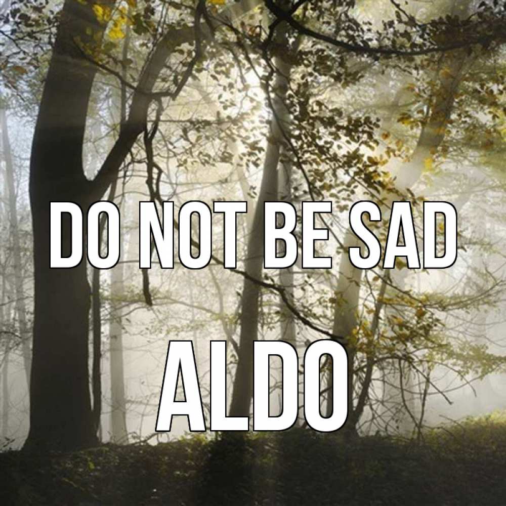 Greetings card с именем, Aldo Do not be sad лес и свет Greetings with text for free download 