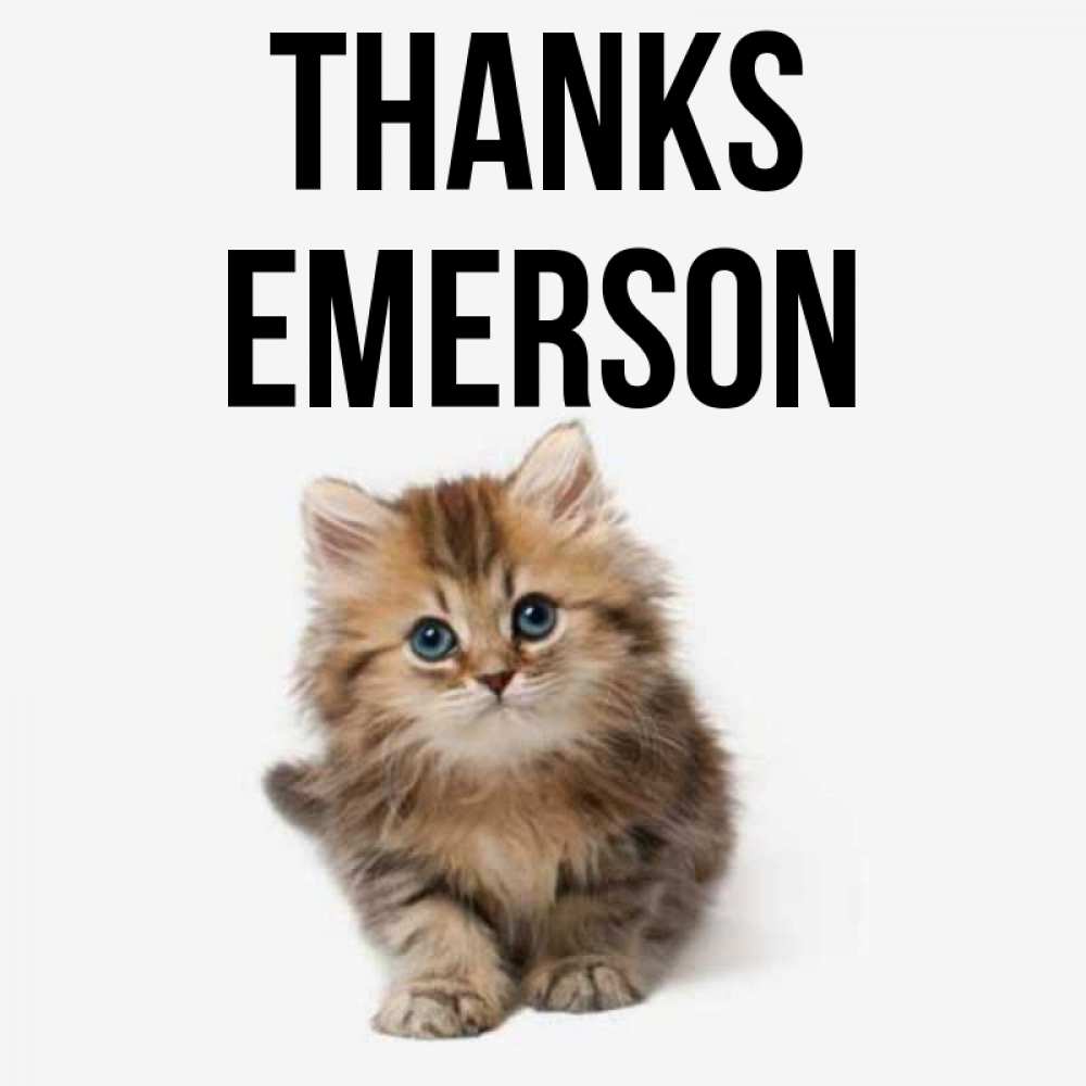 Greetings card с именем, Emerson Thanks пушистый котик Greetings with text for free download 