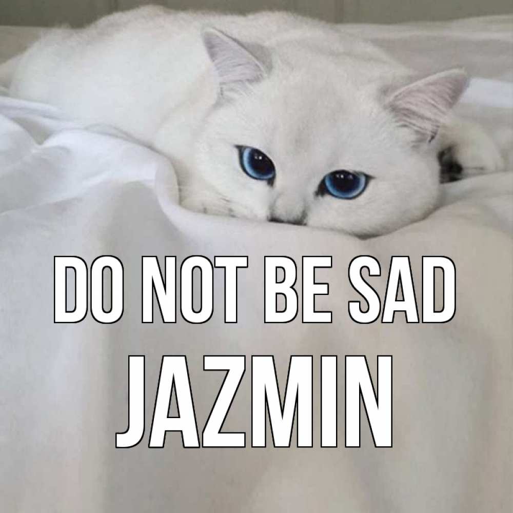 Greetings card с именем, Jazmin Do not be sad белый кот с голубыми глазами на белоснежной кровати Greetings with text for free download 