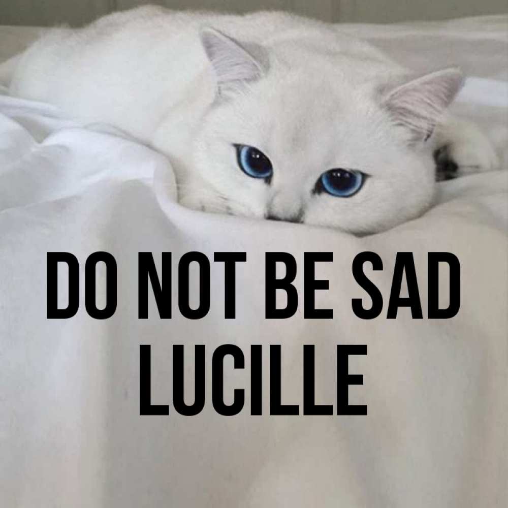 Greetings card с именем, Lucille Do not be sad Голубоглазая кошка Greetings with text for free download 