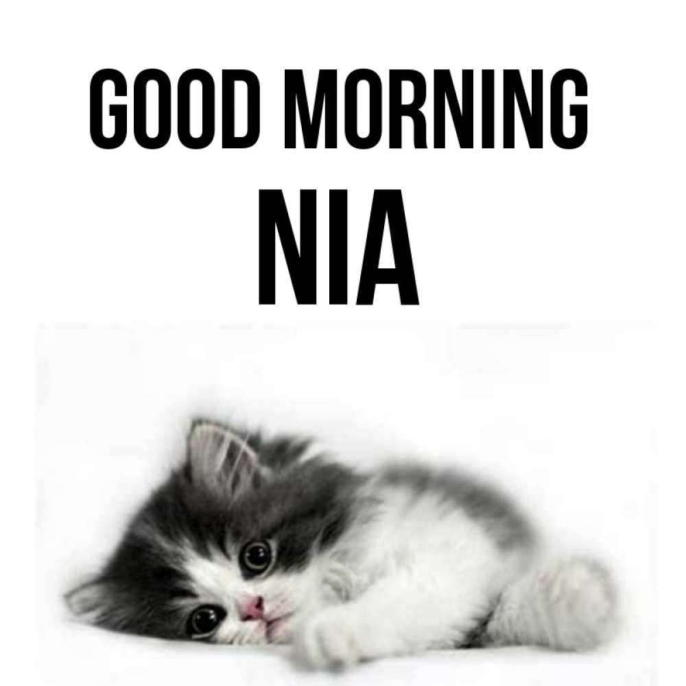 Greetings card с именем, Nia Good morning кот лапки Greetings with text for free download 