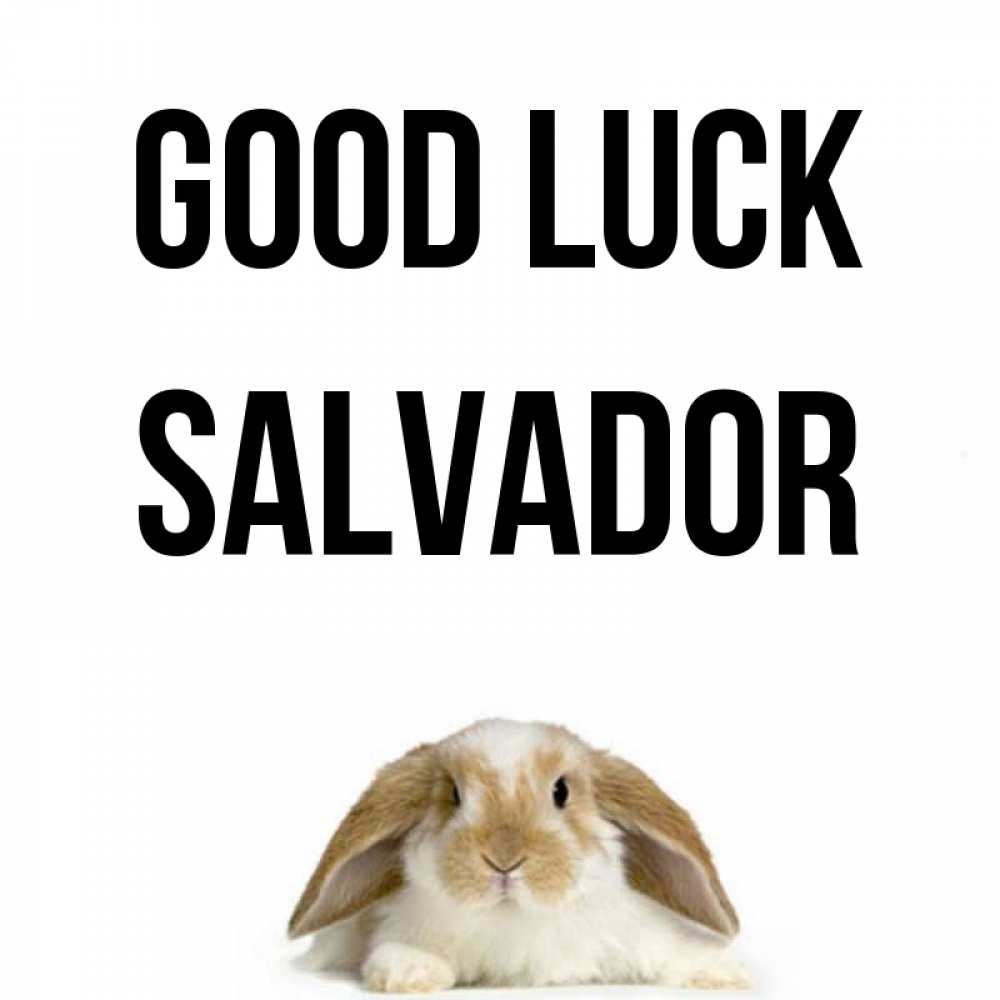 Greetings card с именем, Salvador Good luck открытки с произвольным текстом который можно вставить в открытку и создать ее самостоятельно бесплатно онлайн Greetings with text for free download 