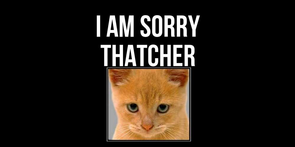 Greetings card с именем, Thatcher I am sorry рыжий грустный кот просит прощения Greetings with text for free download 