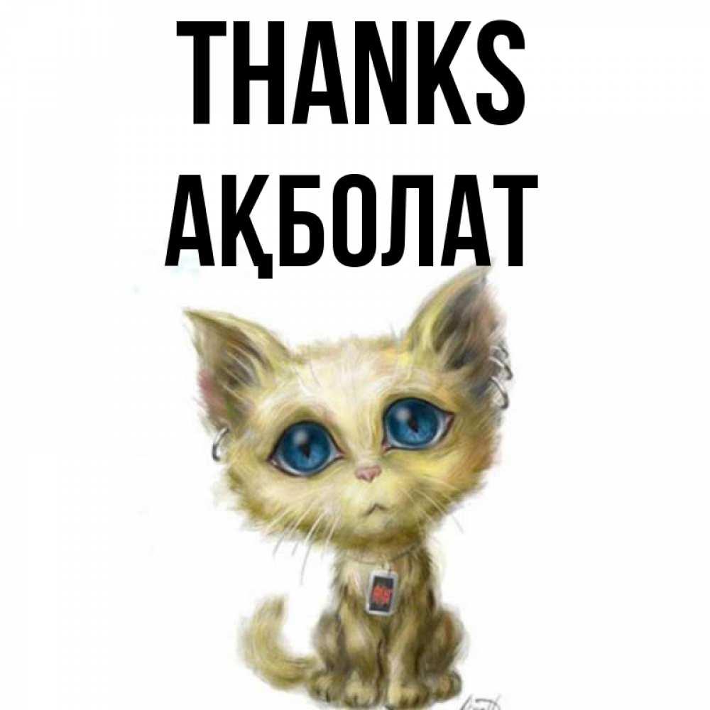 Greetings card с именем, Ақболат Thanks рисованный кот благодарит вас Greetings with text for free download 