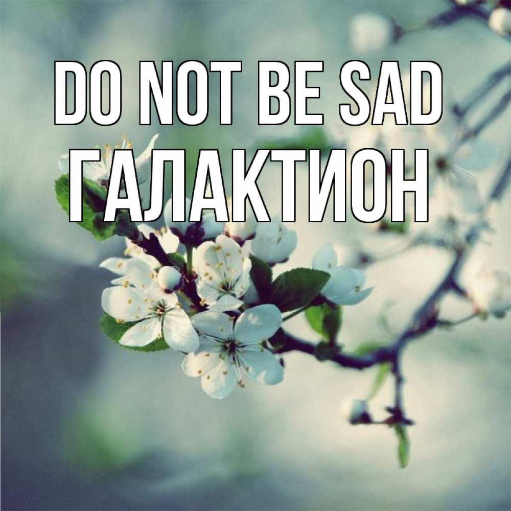 Greetings card с именем, Галактион Do not be sad яблоня в цвету 1 Greetings with text for free download 