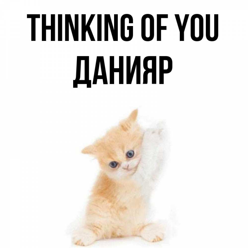 Greetings card с именем, Данияр Thinking of you зверушки и милота Greetings with text for free download 