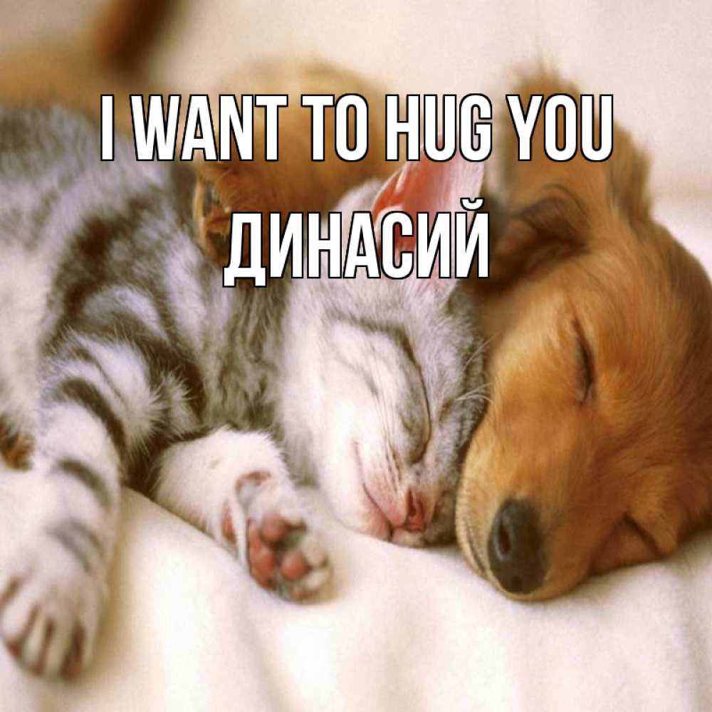 Greetings card с именем, Динасий I want to hug you пес и котенок Greetings with text for free download 
