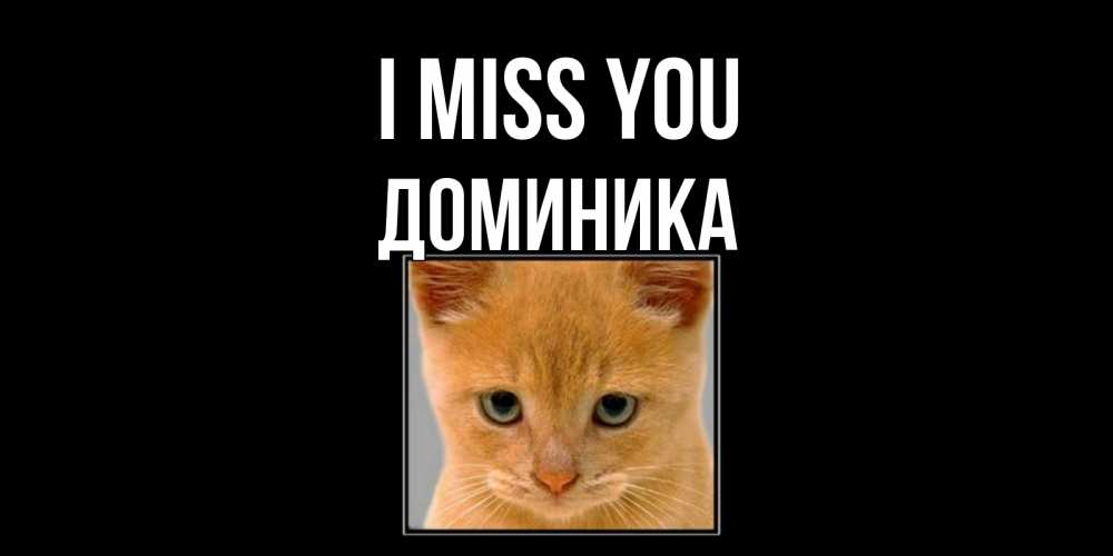 Greetings card с именем, Доминика I miss you открытки рыжий котенок скучает по тебе Greetings with text for free download 