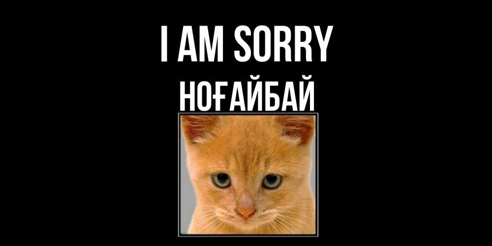 Greetings card с именем, НОҒАЙБАЙ I am sorry рыжий грустный кот просит прощения Greetings with text for free download 