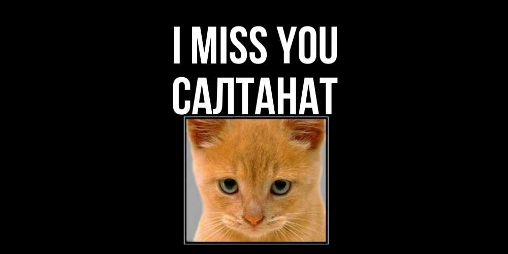 Greetings card с именем, САЛТАНАТ I miss you открытки рыжий котенок скучает по тебе Greetings with text for free download 