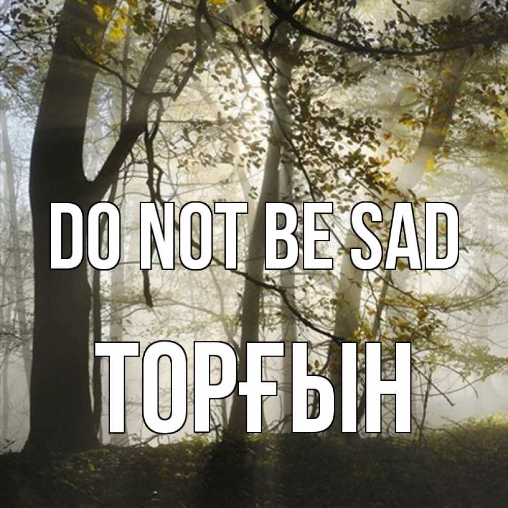 Greetings card с именем, ТОРҒЫН Do not be sad лес и свет Greetings with text for free download 
