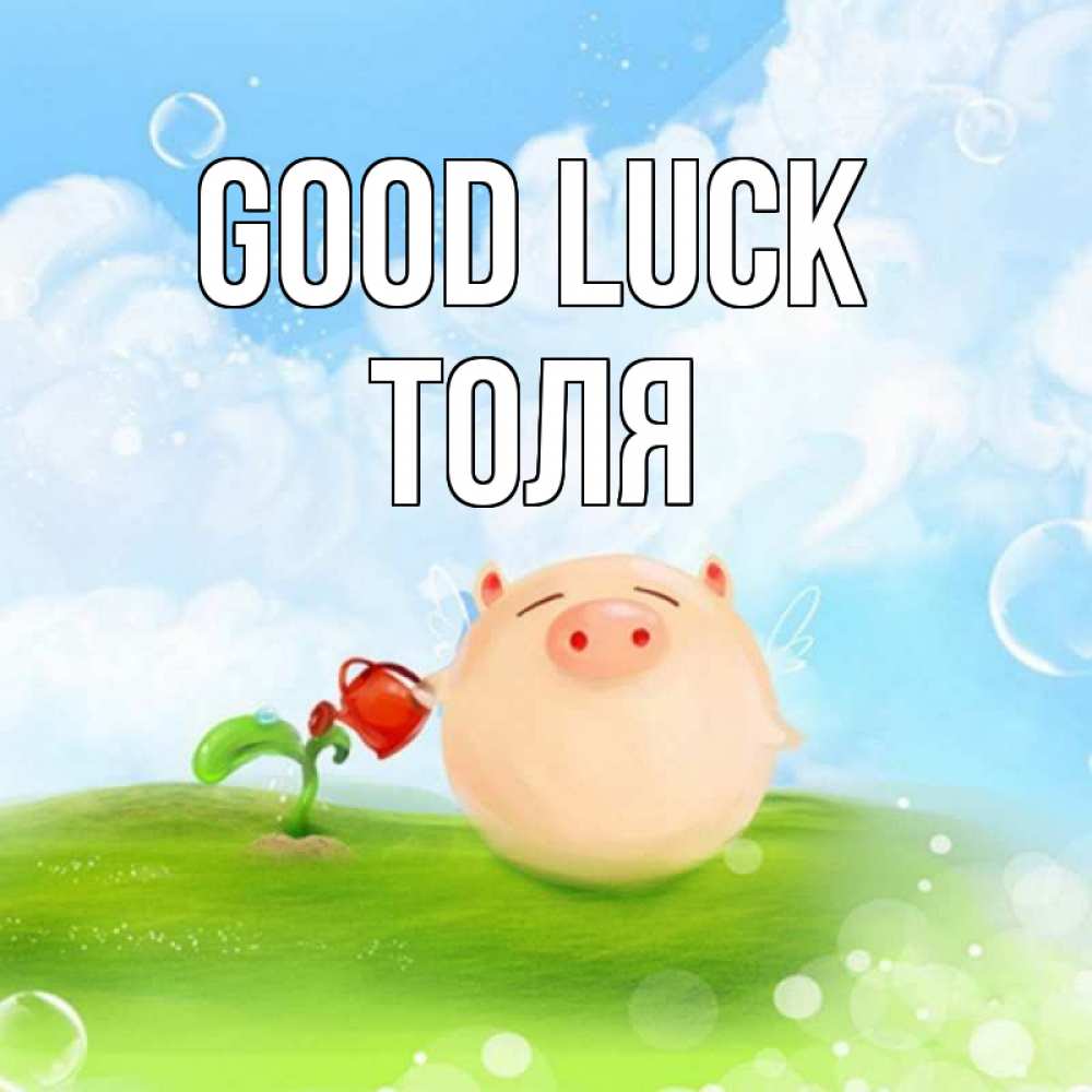 Greetings card с именем, Толя Good luck поросенок поливает цветок. летнее настроение Greetings with text for free download 
