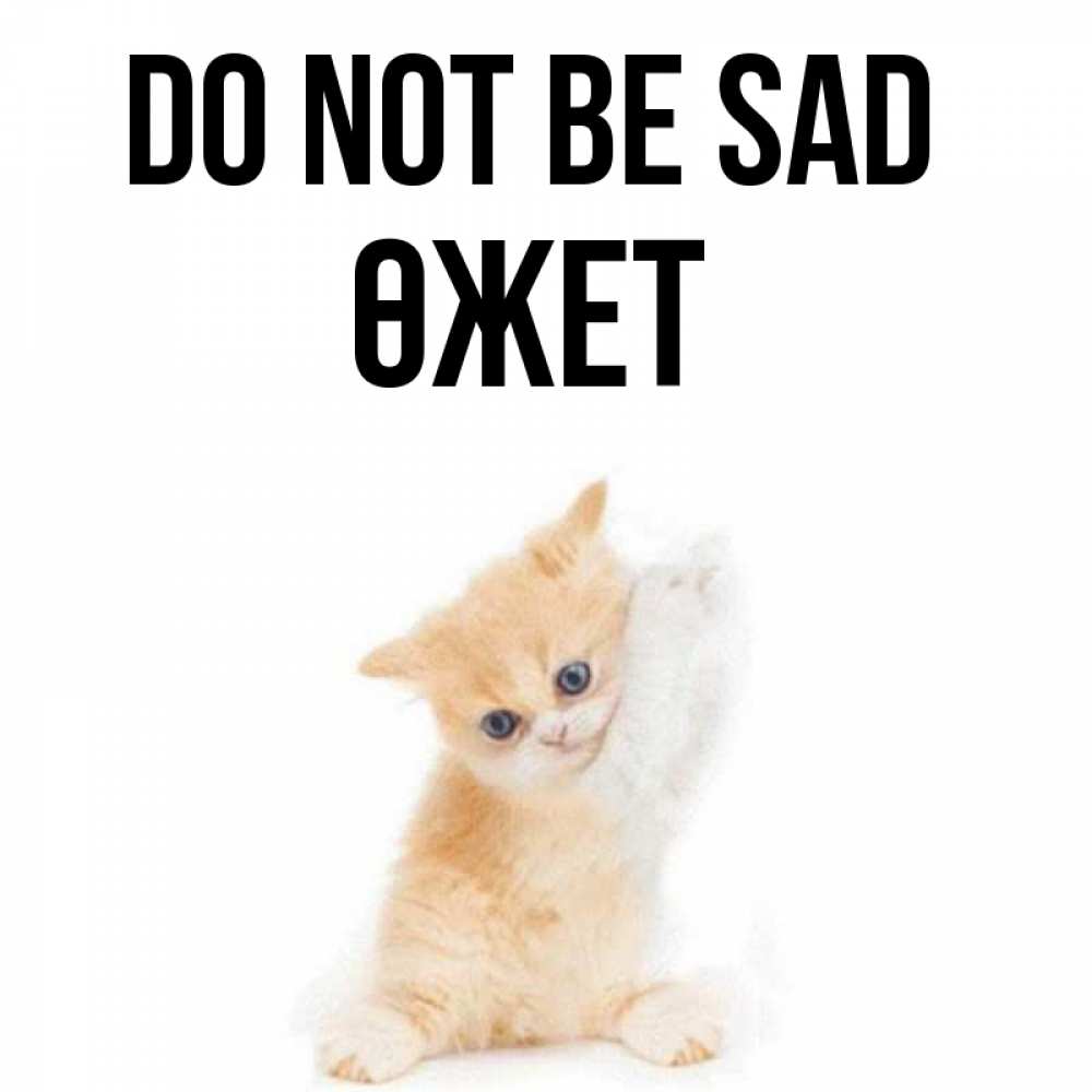 Greetings card с именем, ӨЖЕТ Do not be sad просящий кот Greetings with text for free download 