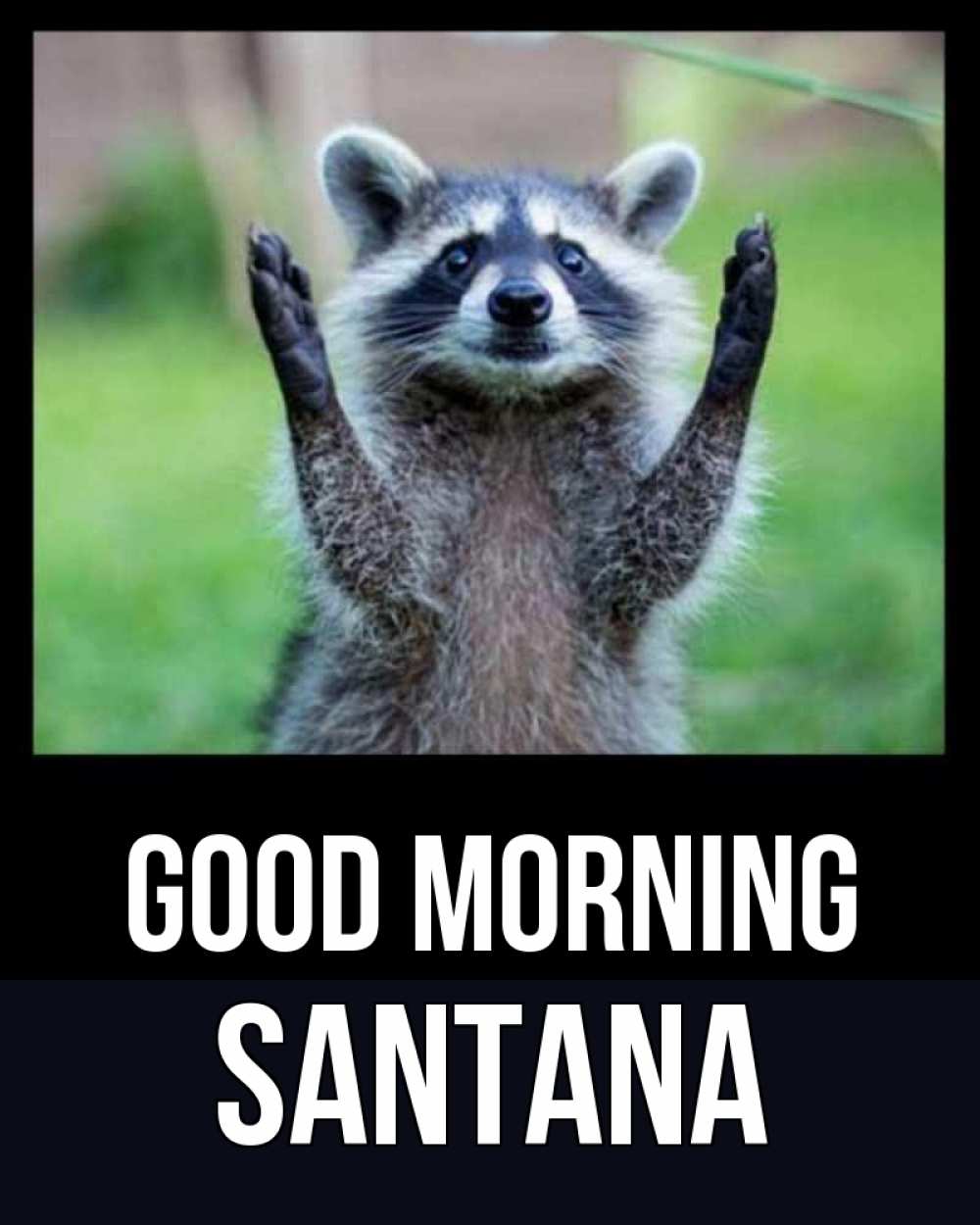 Greetings card с именем, Santana Good morning хорошее настроение утречком Greetings with text for free download 