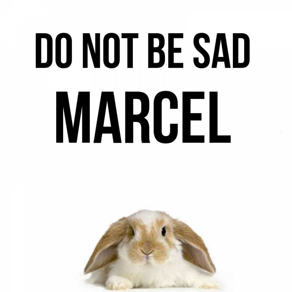 Greetings card с именем, Marcel Do not be sad коричнево белый заяц с большими ушками Greetings with text for free download 