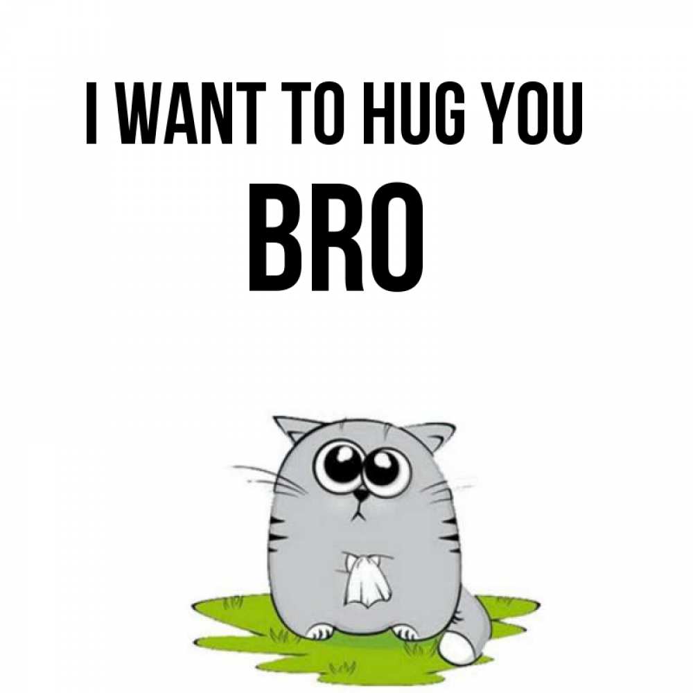 Greetings card с именем, bro I want to hug you котик теребит платочек сидя на травке Greetings with text for free download 