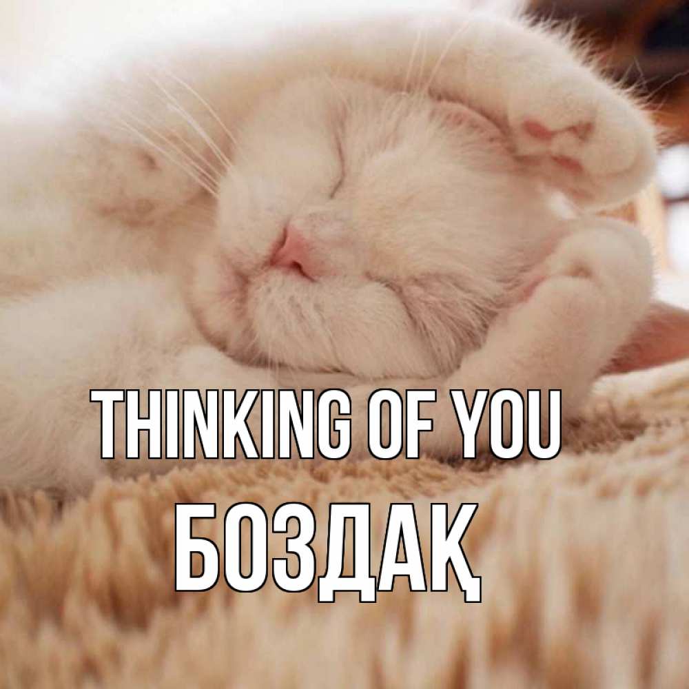 Greetings card с именем, Боздақ Thinking of you для любимой девушки милота Greetings with text for free download 