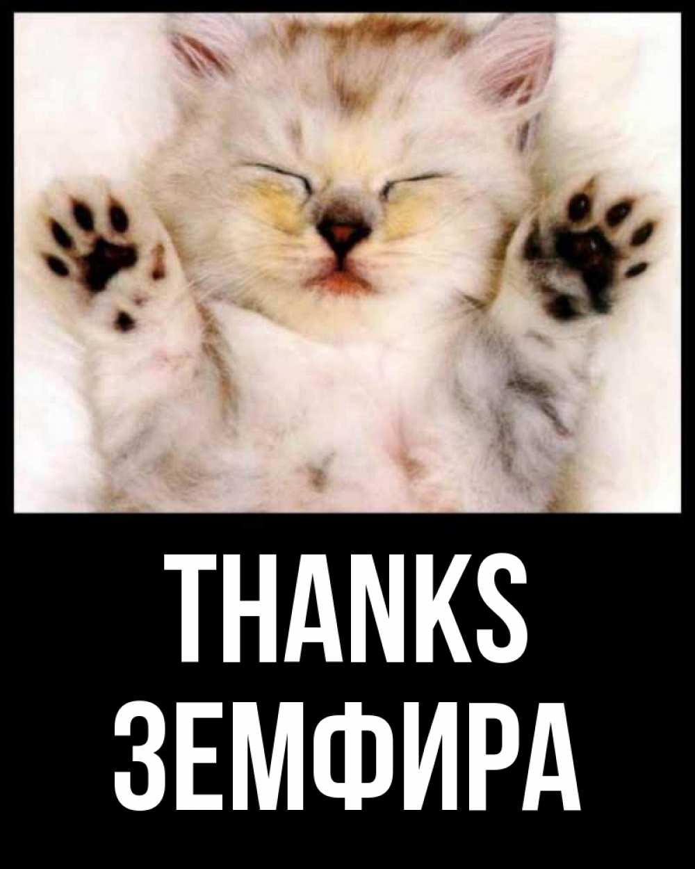 Greetings card с именем, ЗЕМФИРА Thanks маленький котенок Greetings with text for free download 