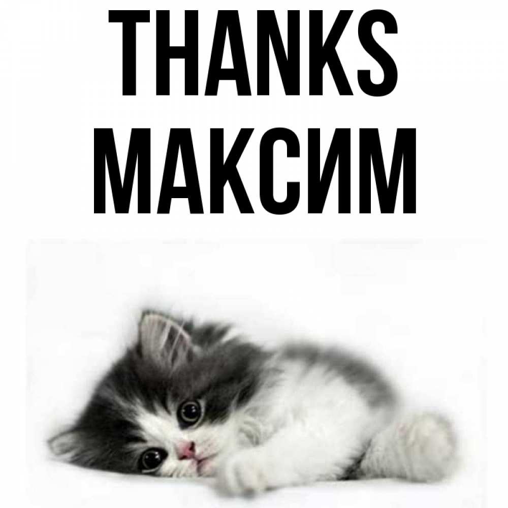 Greetings card с именем, Максим Thanks черный и белый кот Greetings with text for free download 