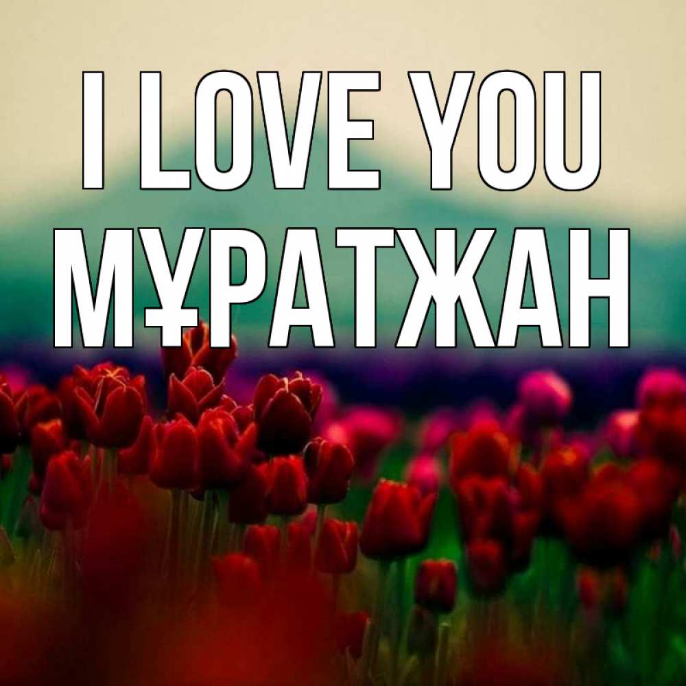 Greetings card с именем, Мұратжан I love you тюльпаны 4 Greetings with text for free download 