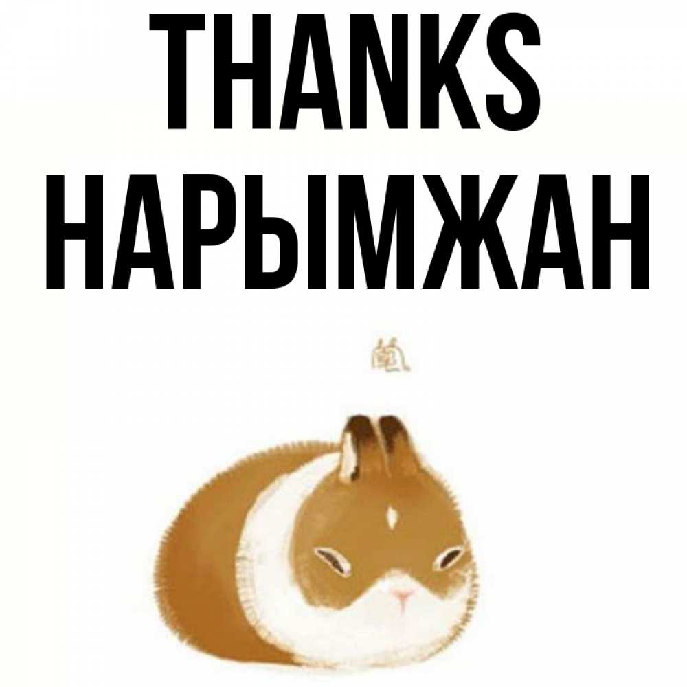 Greetings card с именем, НАРЫМЖАН Thanks коричнево белый домашний питомец Greetings with text for free download 