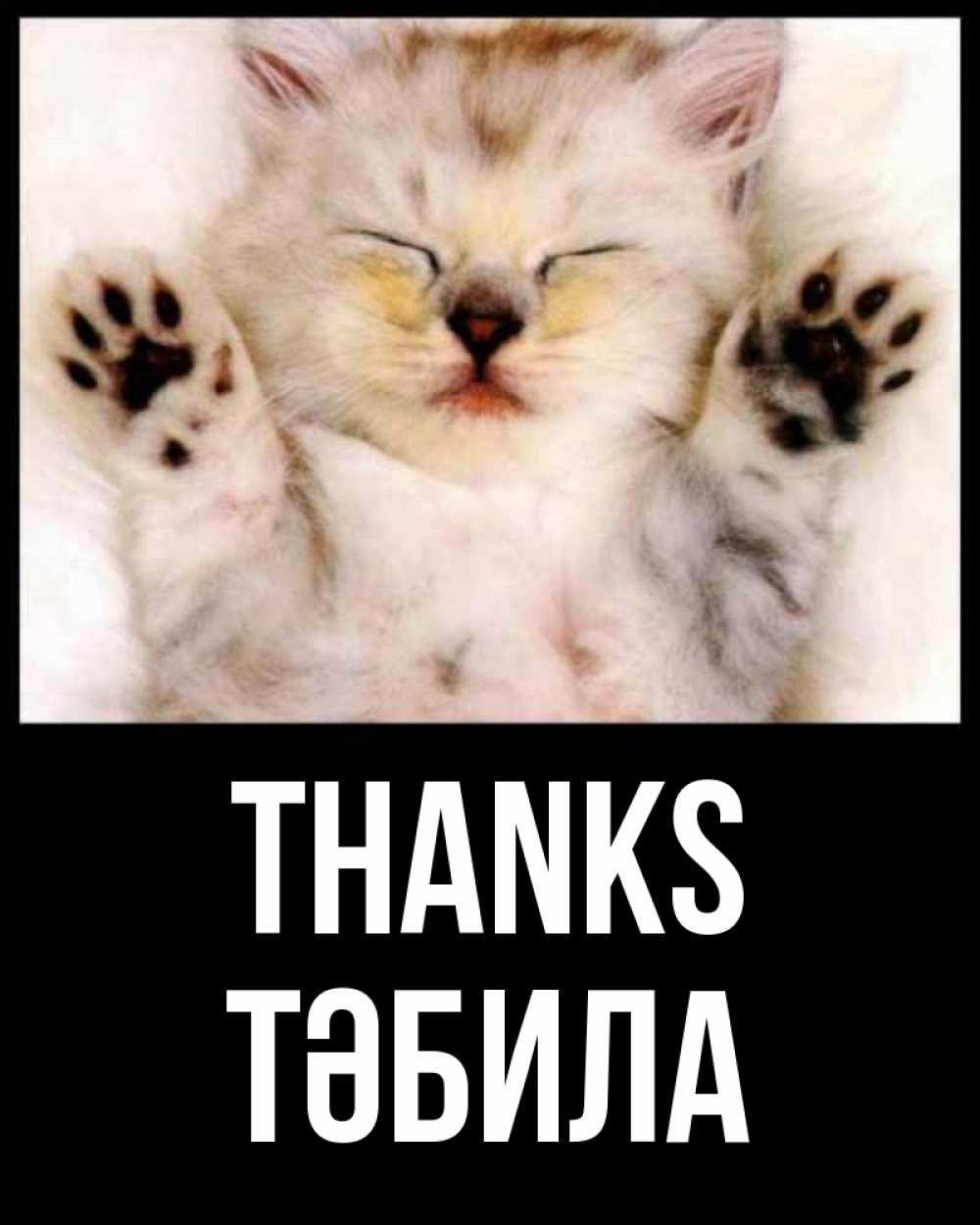 Greetings card с именем, ТӘБИЛА Thanks маленький котенок Greetings with text for free download 