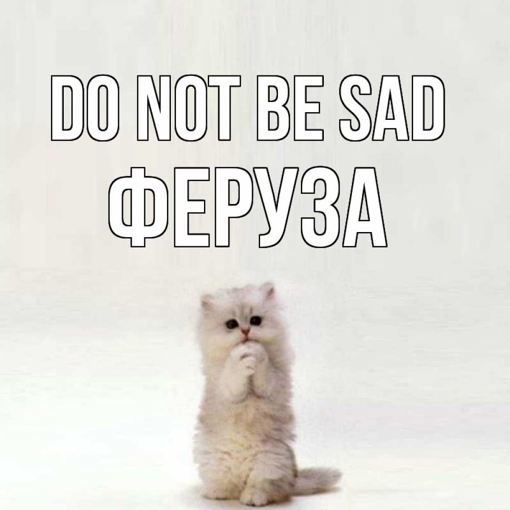 Greetings card с именем, Феруза Do not be sad грустный кот Greetings with text for free download 