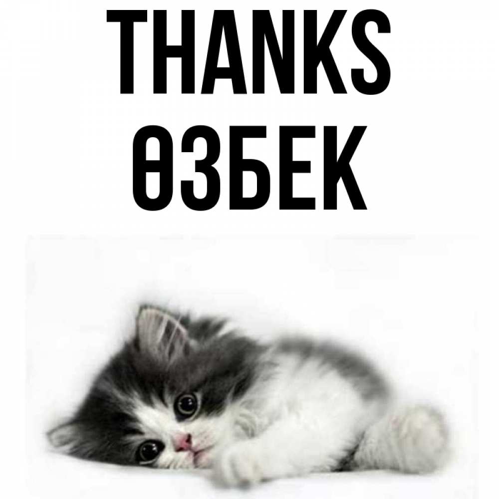 Greetings card с именем, ӨЗБЕК Thanks черный и белый кот Greetings with text for free download 