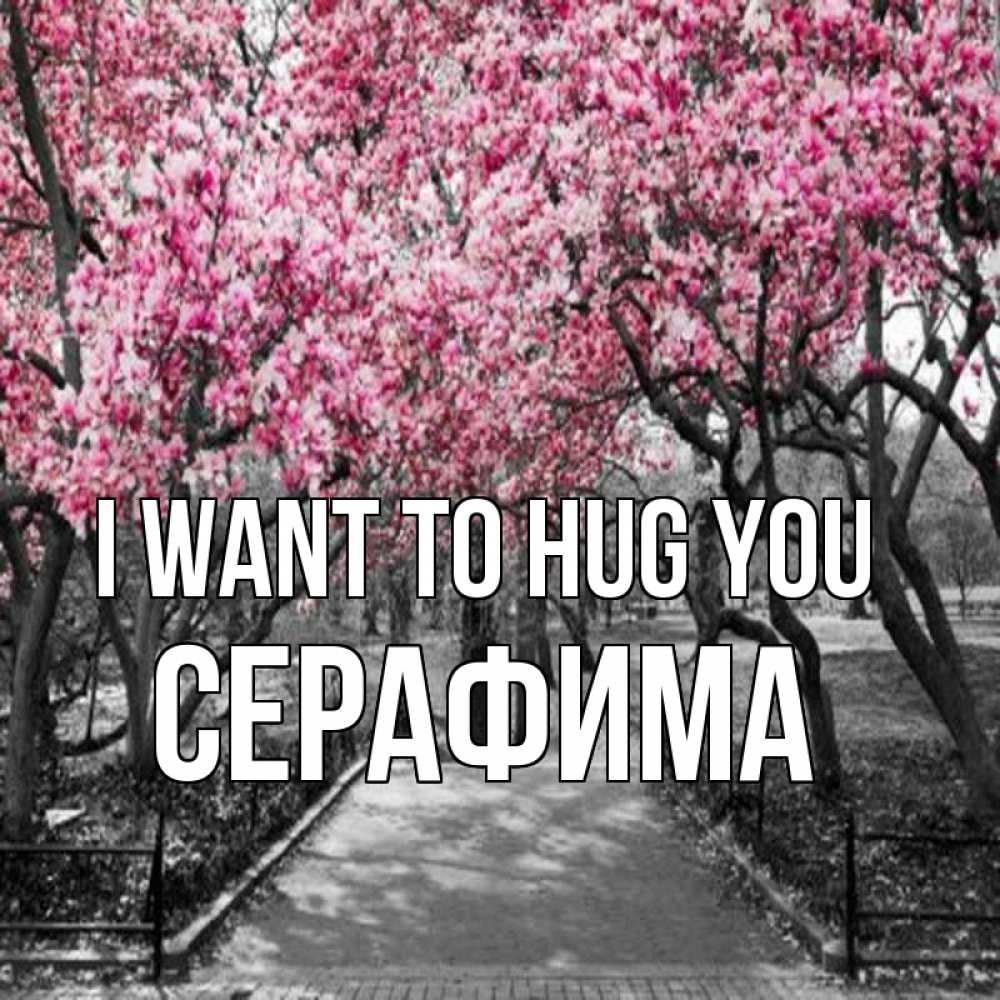Greetings card с именем, Серафима I want to hug you обработанное фото Greetings with text for free download 