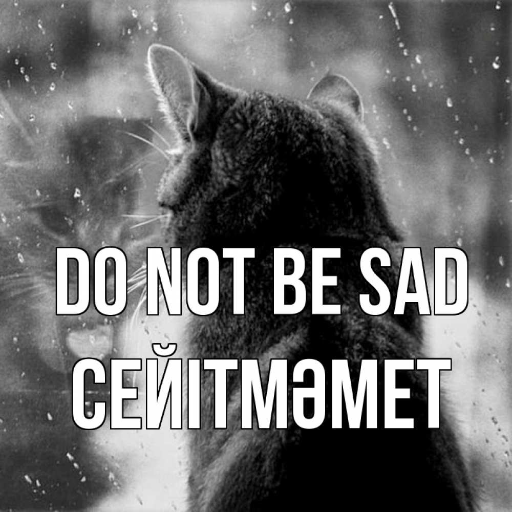 Greetings card с именем, СЕЙІТМӘМЕТ Do not be sad отражение кота 1 Greetings with text for free download 