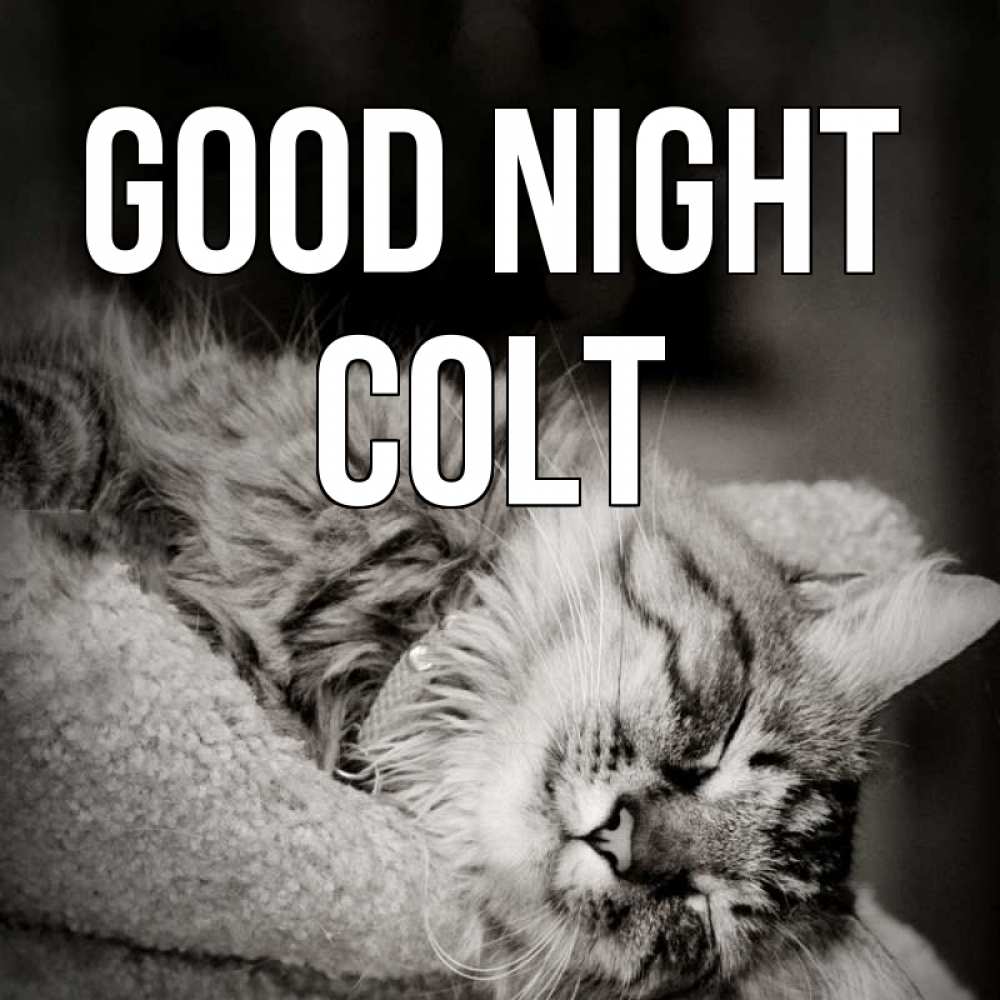 Greetings card с именем, Colt Good night котярик пушистый Greetings with text for free download 