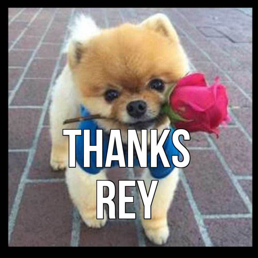 Greetings card с именем, Rey Thanks спасибо и дарю тебе цветок Greetings with text for free download 