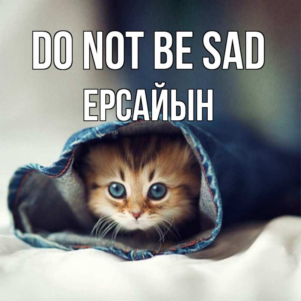 Greetings card с именем, Ерсайын Do not be sad кот в одежде Greetings with text for free download 