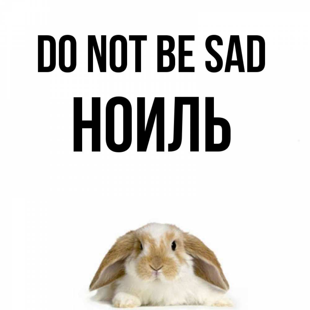 Greetings card с именем, НОИЛЬ Do not be sad коричнево белый заяц с большими ушками Greetings with text for free download 
