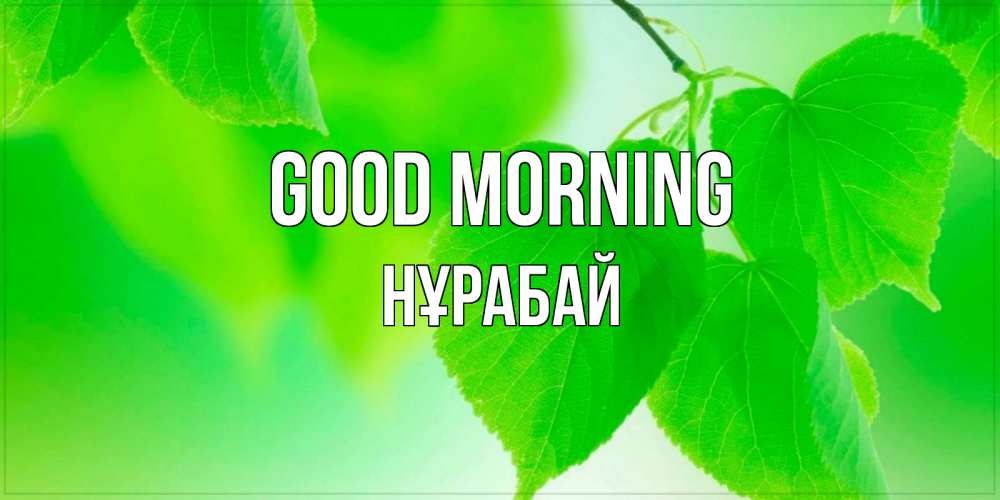Greetings card с именем, НҰРАБАЙ Good morning доброе утро с березовыми листьями Greetings with text for free download 