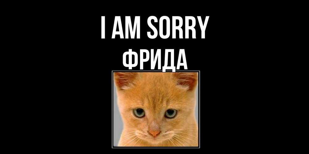 Greetings card с именем, Фрида I am sorry рыжий грустный кот просит прощения Greetings with text for free download 