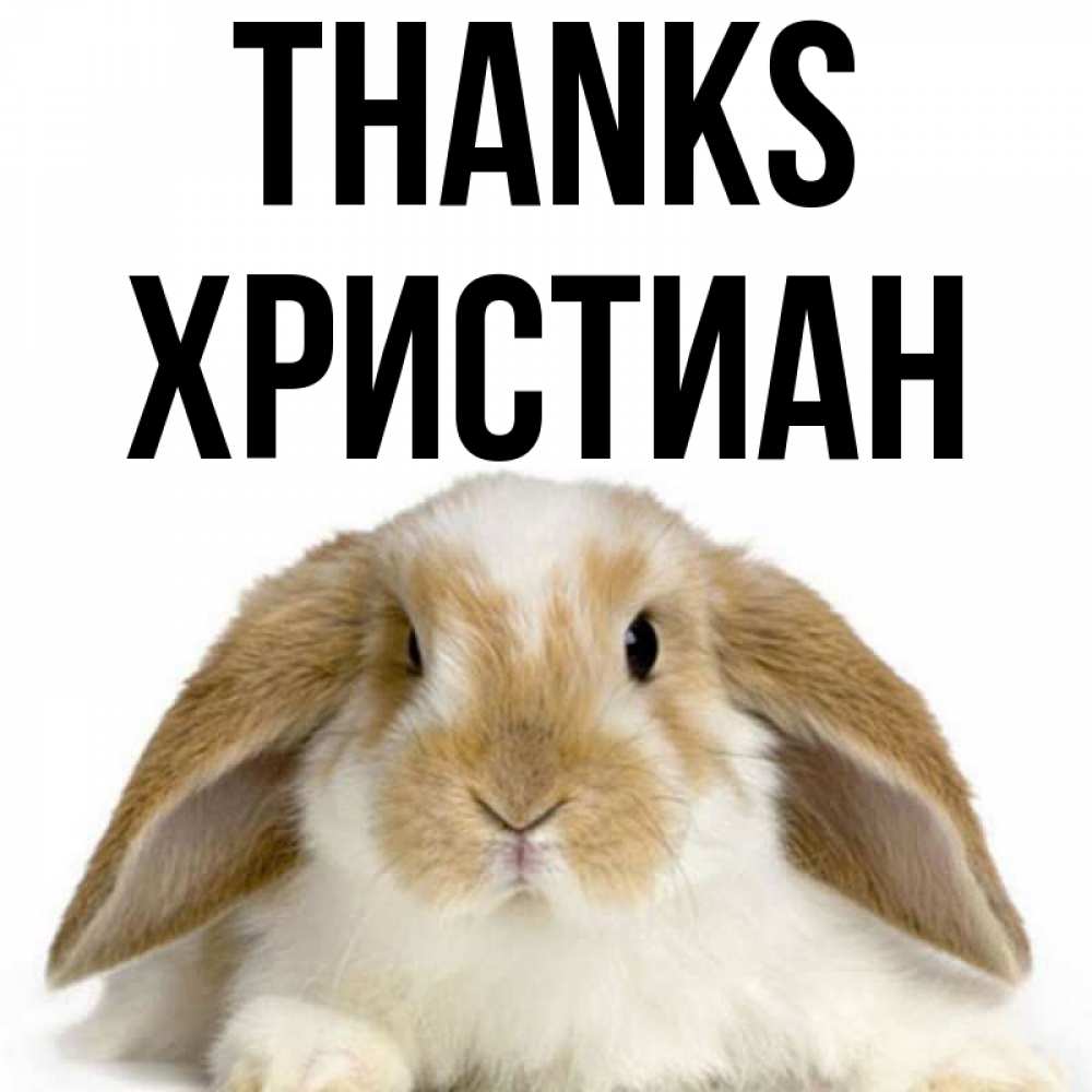 Greetings card с именем, Христиан Thanks коричнево белый заяц Greetings with text for free download 