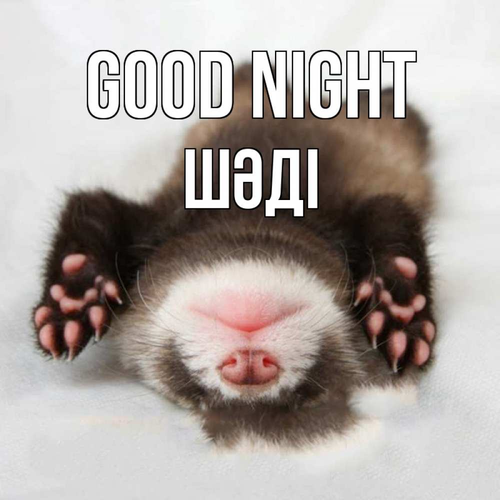 Greetings card с именем, ШӘДІ Good night зверек Greetings with text for free download 