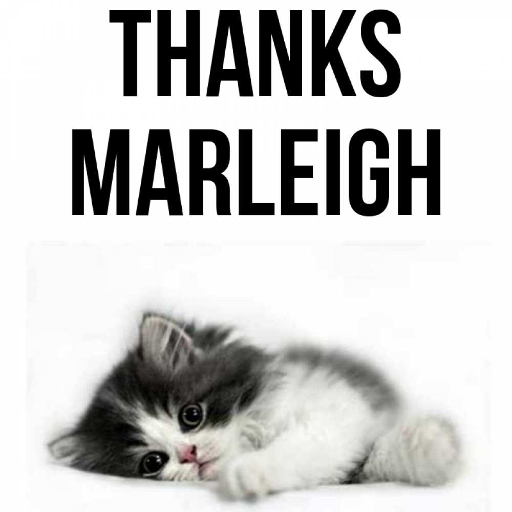Greetings card с именем, Marleigh Thanks черный и белый кот Greetings with text for free download 