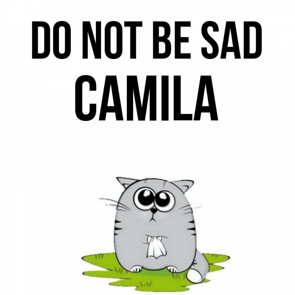 Greetings card с именем, Camila Do not be sad грустный котяра Greetings with text for free download 