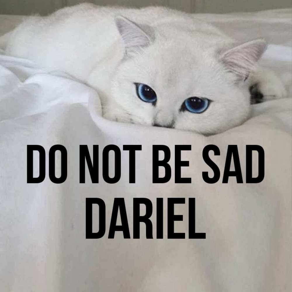 Greetings card с именем, Dariel Do not be sad Голубоглазая кошка Greetings with text for free download 