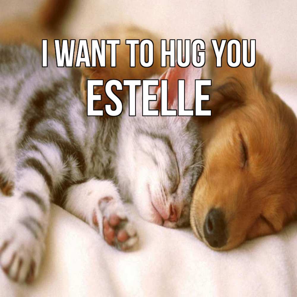 Greetings card с именем, Estelle I want to hug you пес и котенок Greetings with text for free download 