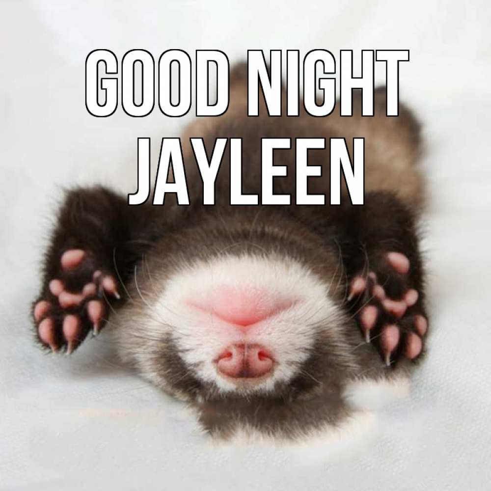 Greetings card с именем, Jayleen Good night зверек Greetings with text for free download 