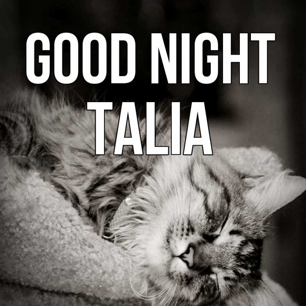 Greetings card с именем, Talia Good night котярик пушистый Greetings with text for free download 