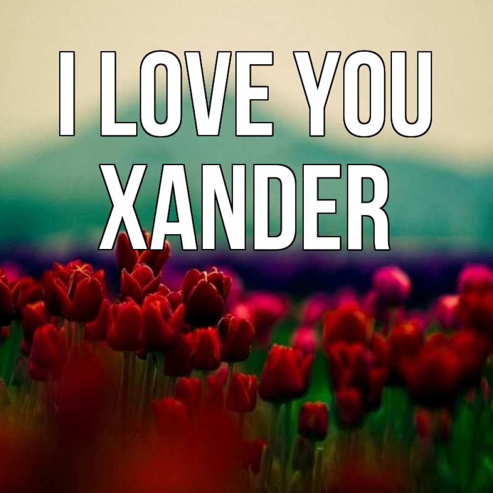 Greetings card с именем, Xander I love you тюльпаны 4 Greetings with text for free download 