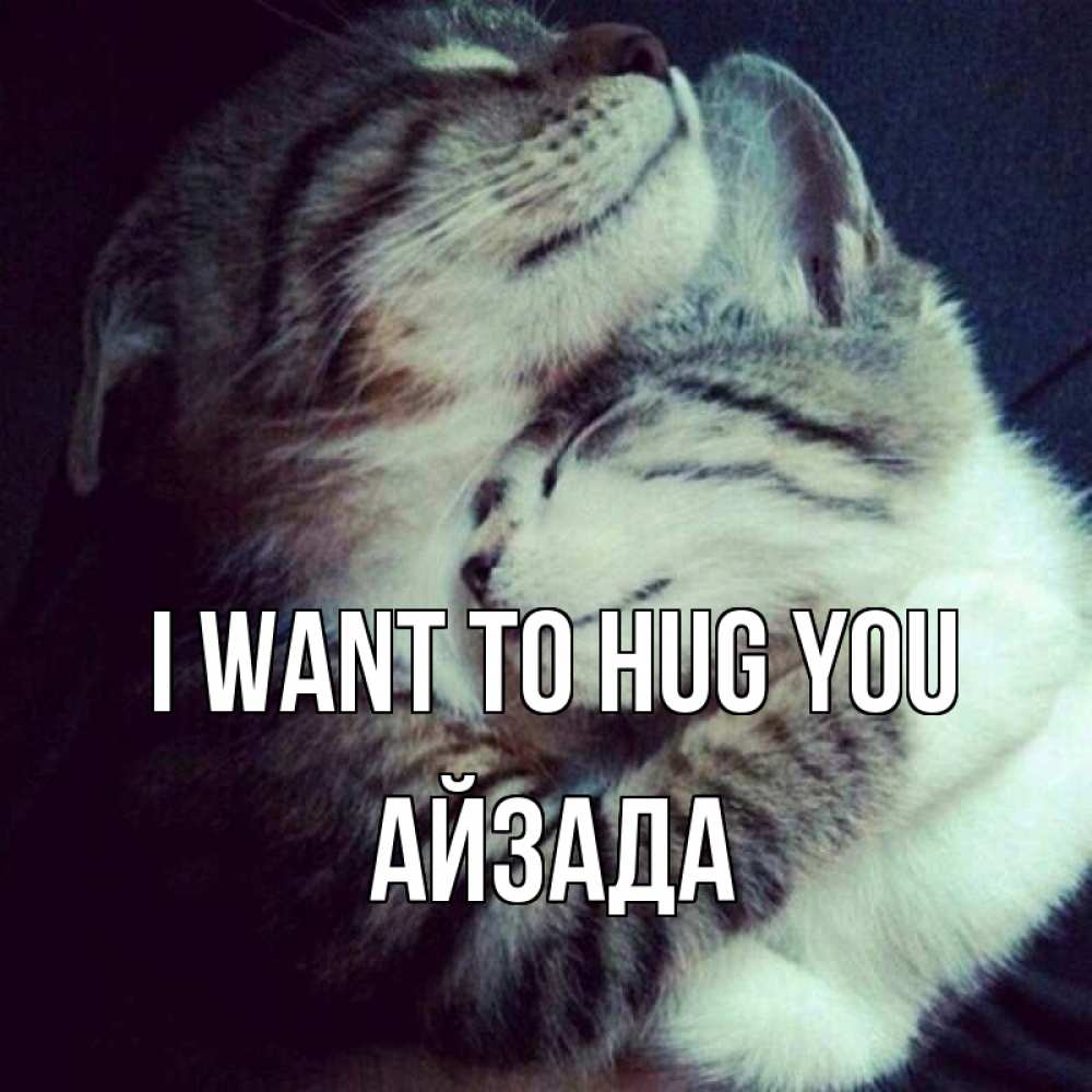 Greetings card с именем, АЙЗАДА I want to hug you полосатики Greetings with text for free download 