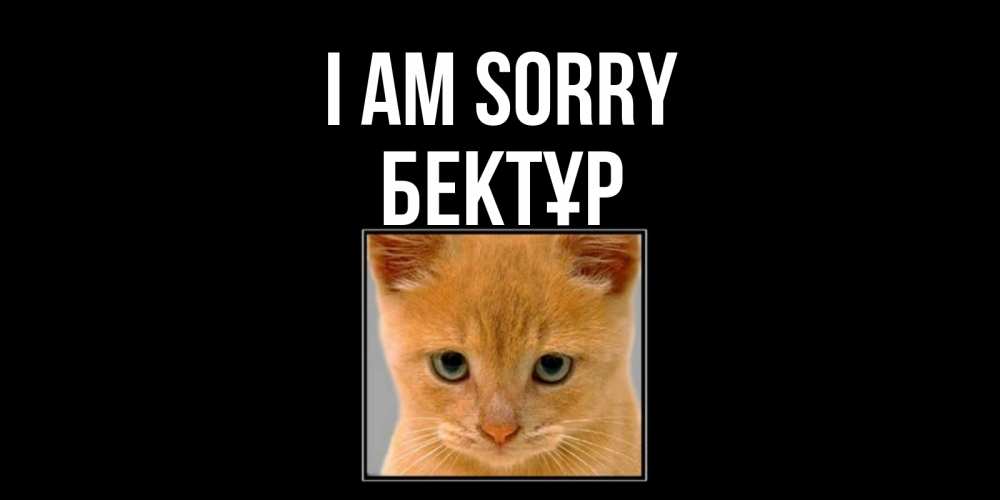 Greetings card с именем, Бектұр I am sorry рыжий грустный кот просит прощения Greetings with text for free download 