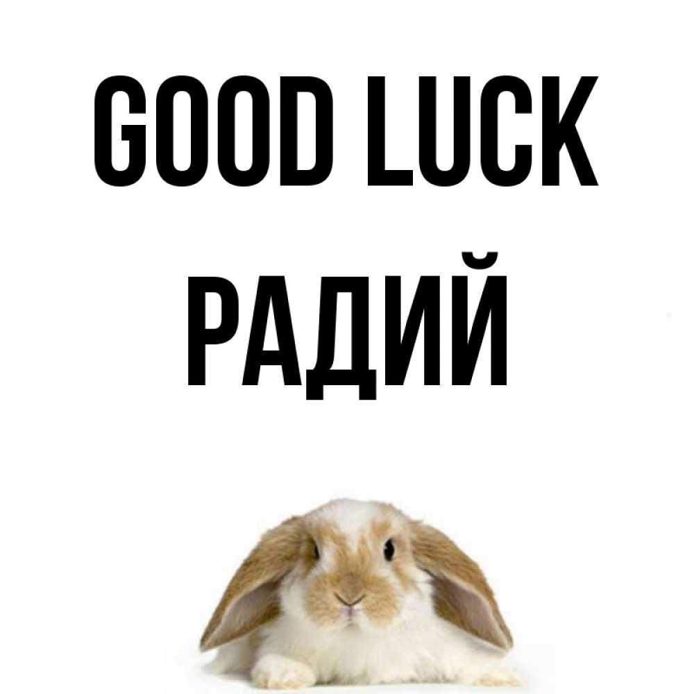 Greetings card с именем, Радий Good luck открытки с произвольным текстом который можно вставить в открытку и создать ее самостоятельно бесплатно онлайн Greetings with text for free download 